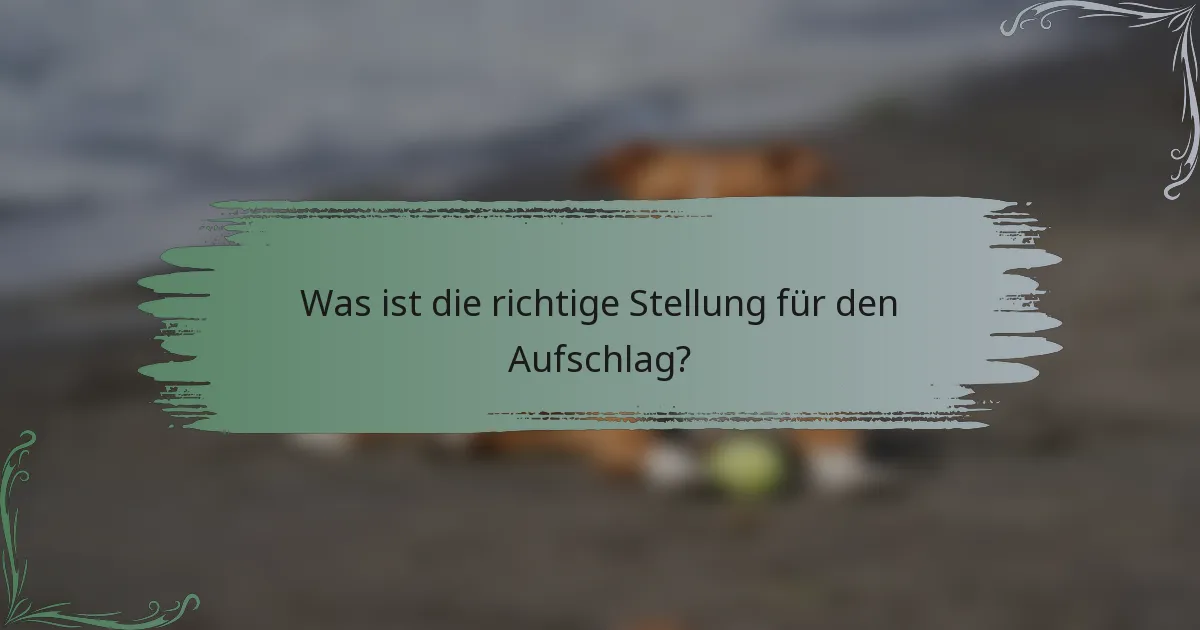 Was ist die richtige Stellung für den Aufschlag?